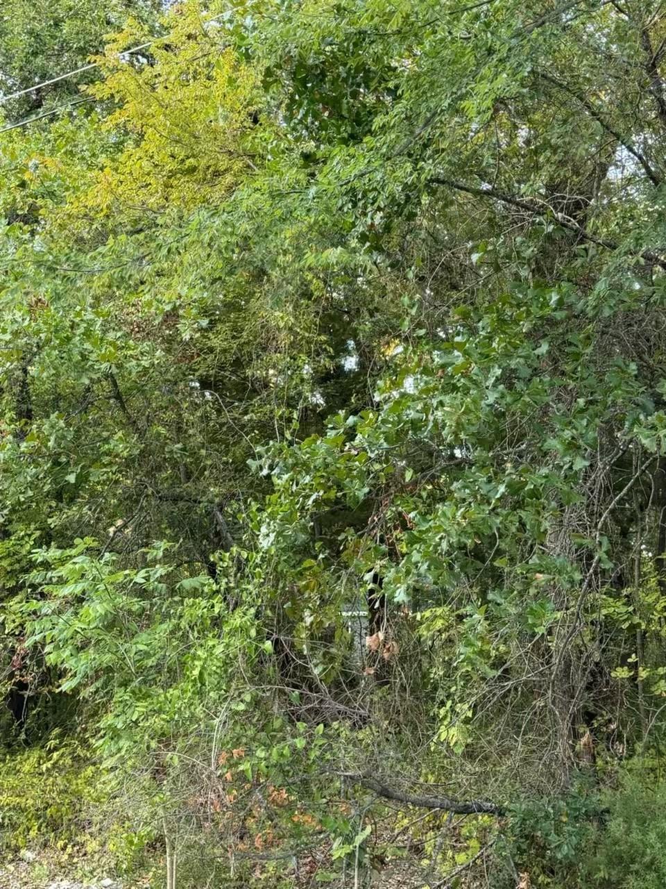 Image 4 Image 4