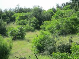 7012 W Hells Gate Drive Lot 52