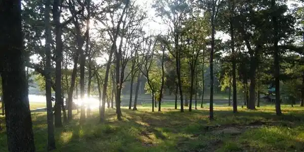 Lincoln Drive Lot 7