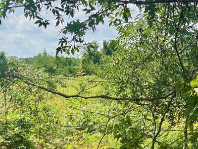 923 County Road 2285