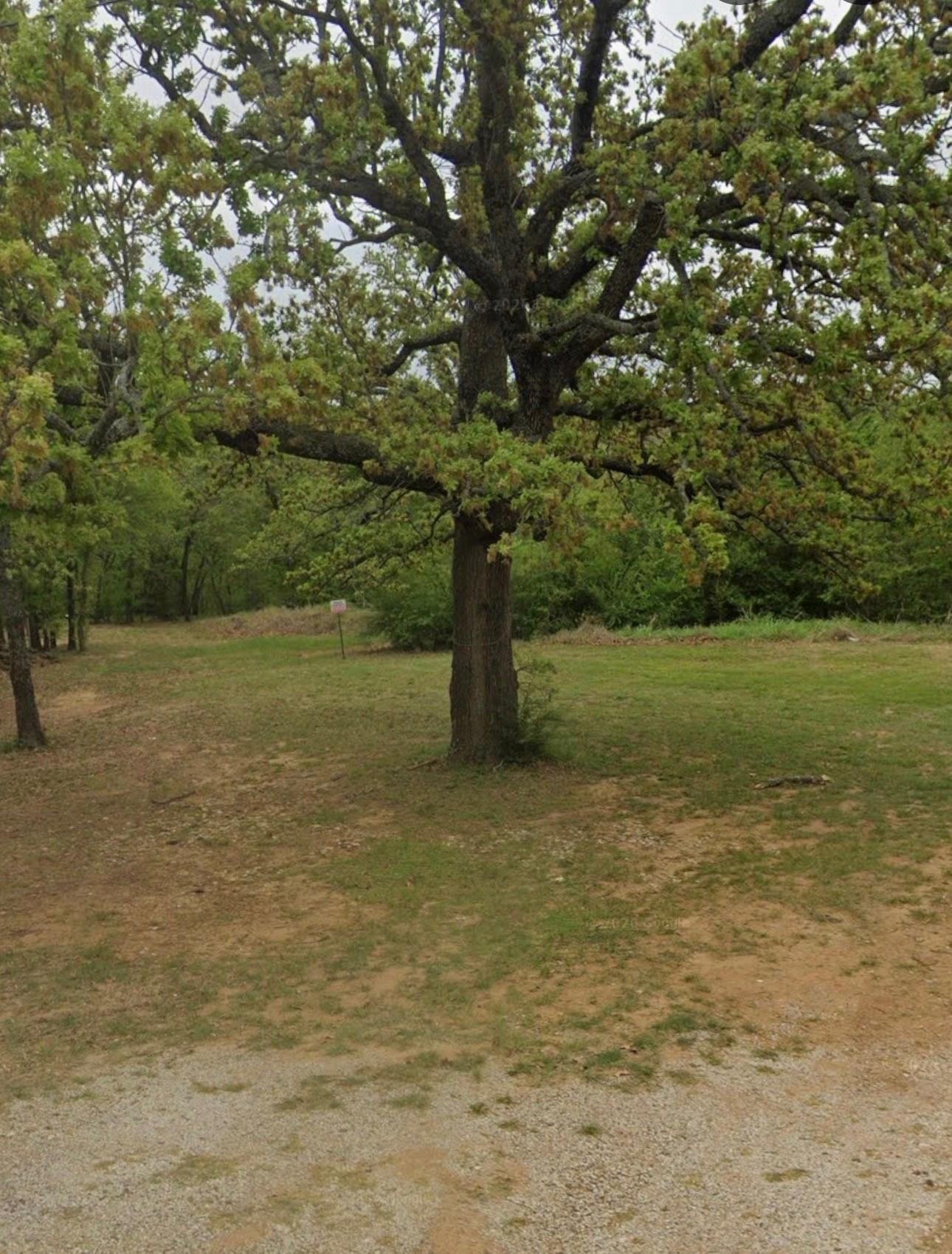 Image 2 Image 2