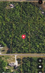 LT 297 Eland Trail