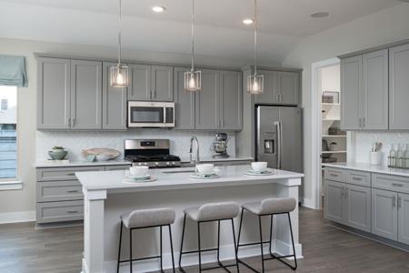 7237 Ladybug