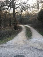 569 County Road 1749
