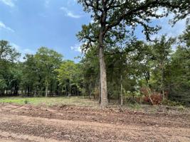 Lot 21 Roy Coffee Court