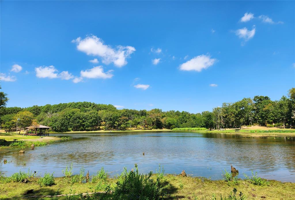 8003 Fallow Run, Larue, TX lhrmls01758034