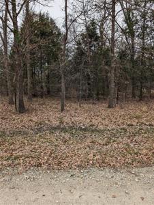 Lot 52 Driftwood Drive