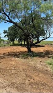 8293 County Road 311