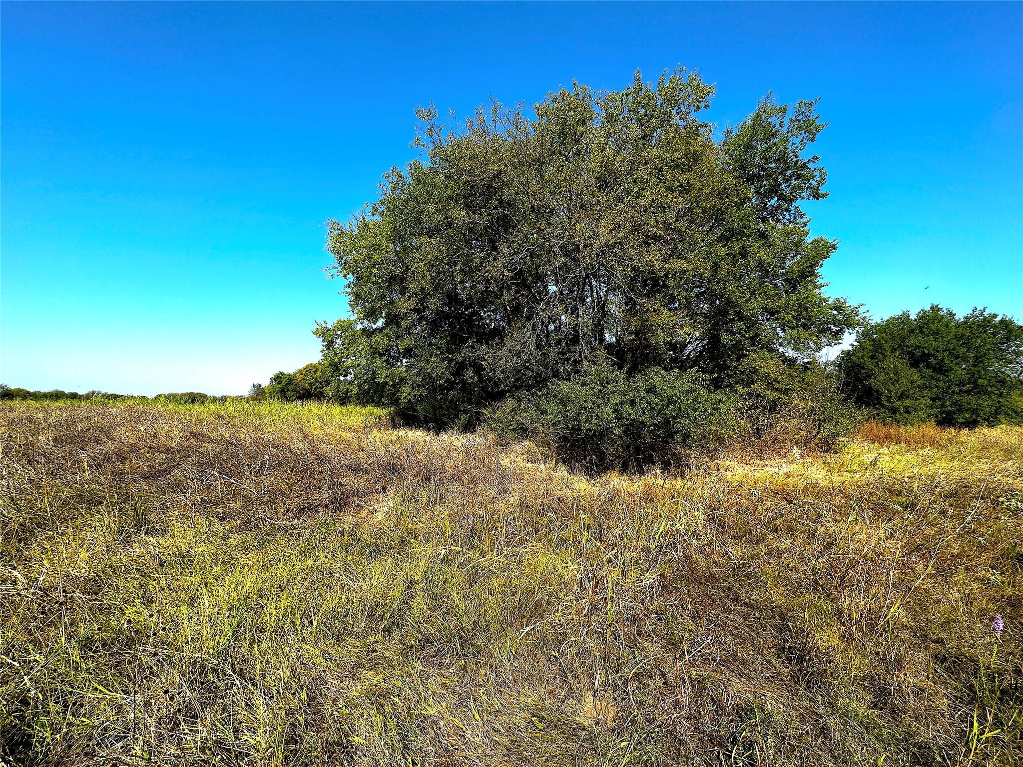 Image 3 Image 3