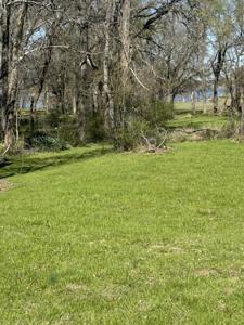 0 Tawakoni Drive