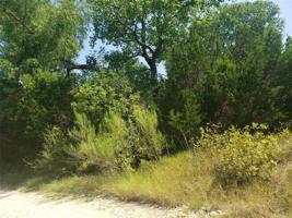 224 Palomino Loop