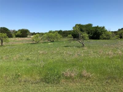 19115 White Bluff Drive