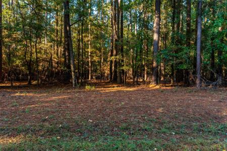 TBD Wildwood Trail