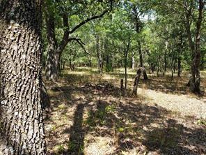107 Mustang Springs Circle
