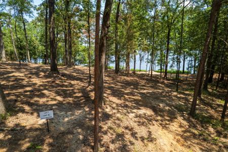 TBD Pr Rd52447
