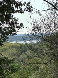 21076 Trailwood Court
