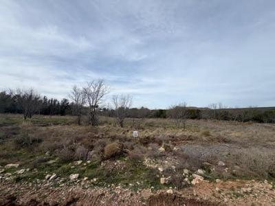1063 Clearwater Point