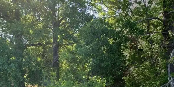 15227 County Road 2370