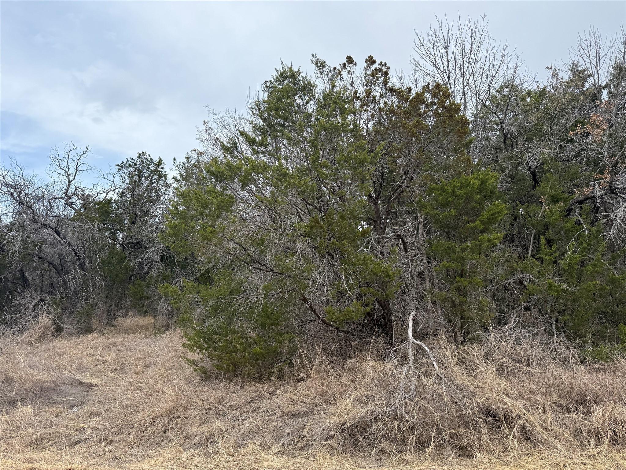 Image 4 Image 4