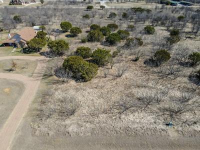 Lot 1029 Cinnamon Teal