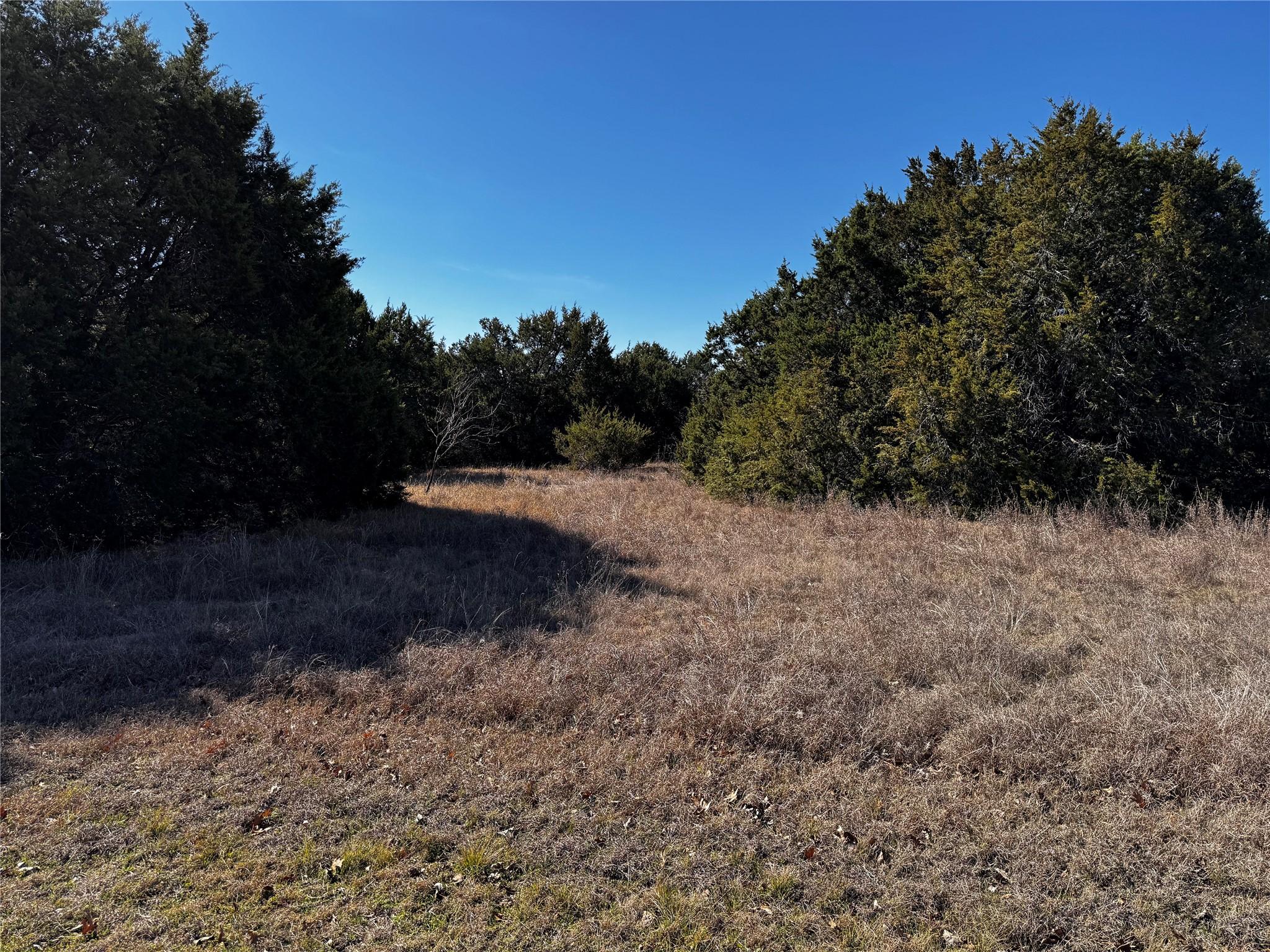 Image 3 Image 3