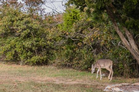 Lot 95 Cliffs Drive