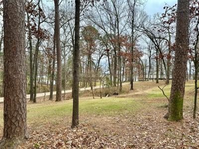 N/A Lot 59 County Road 2938