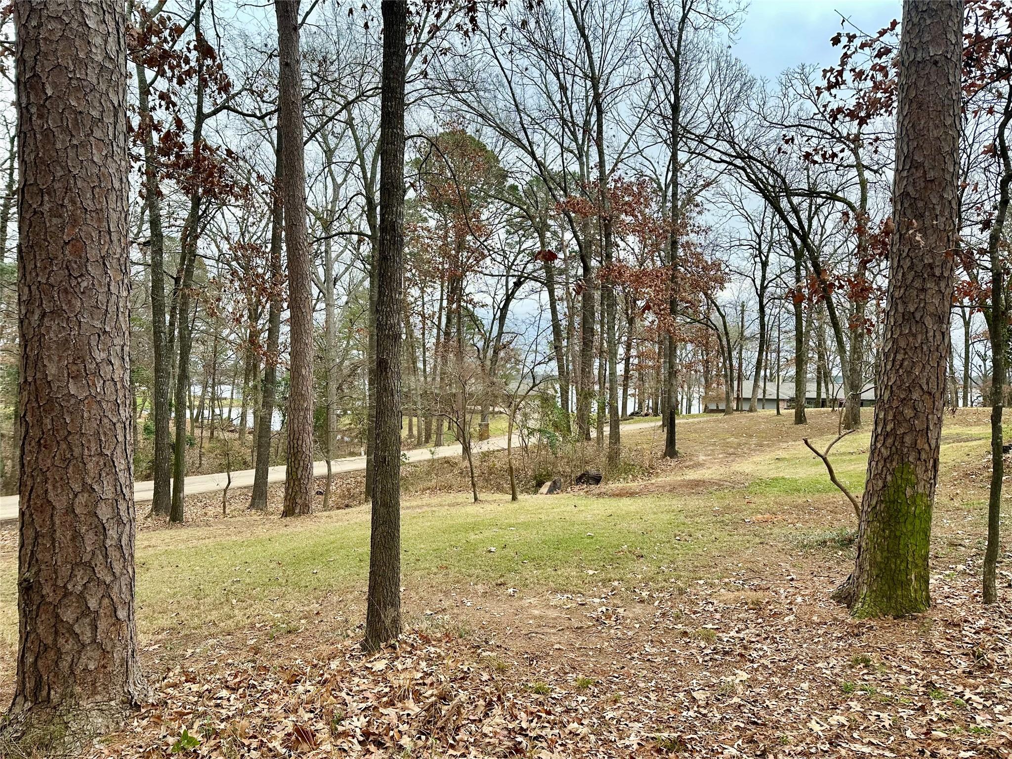 Image 1 Image 1