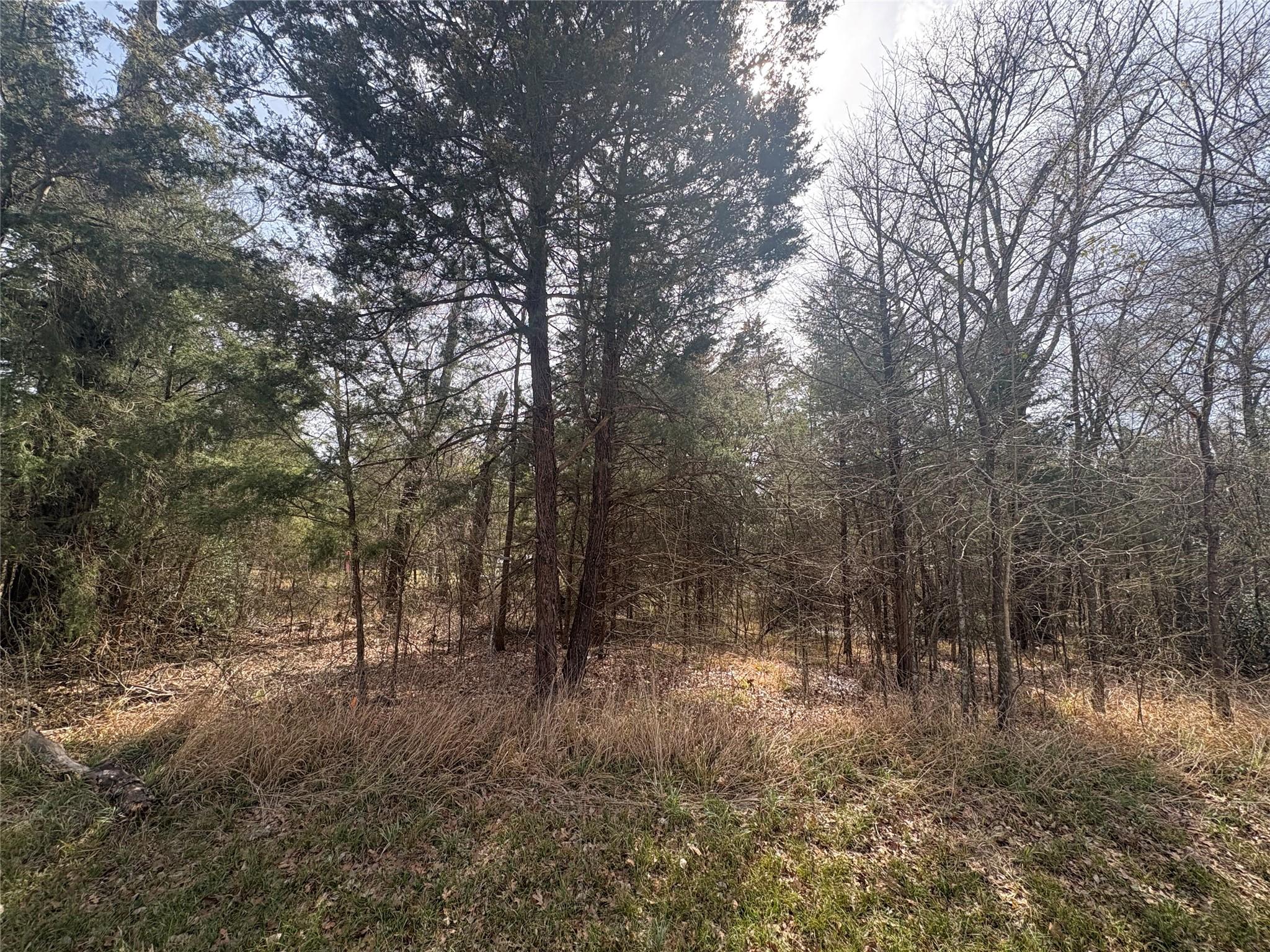 Image 2 Image 2