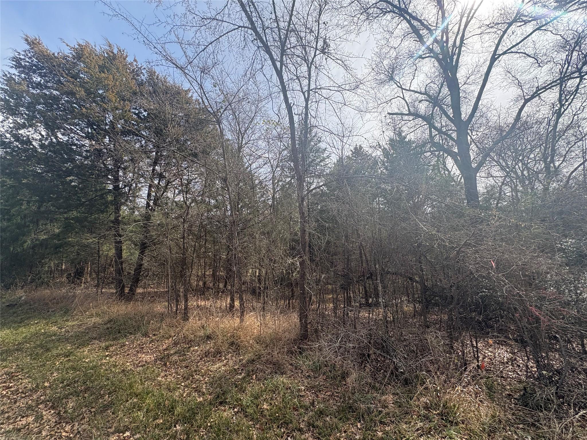 Image 3 Image 3