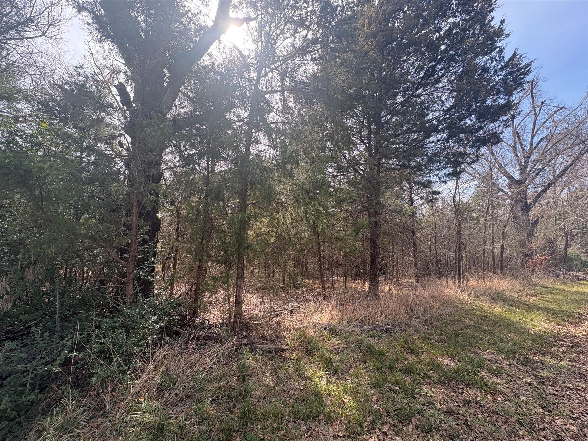 Image 4 Image 4