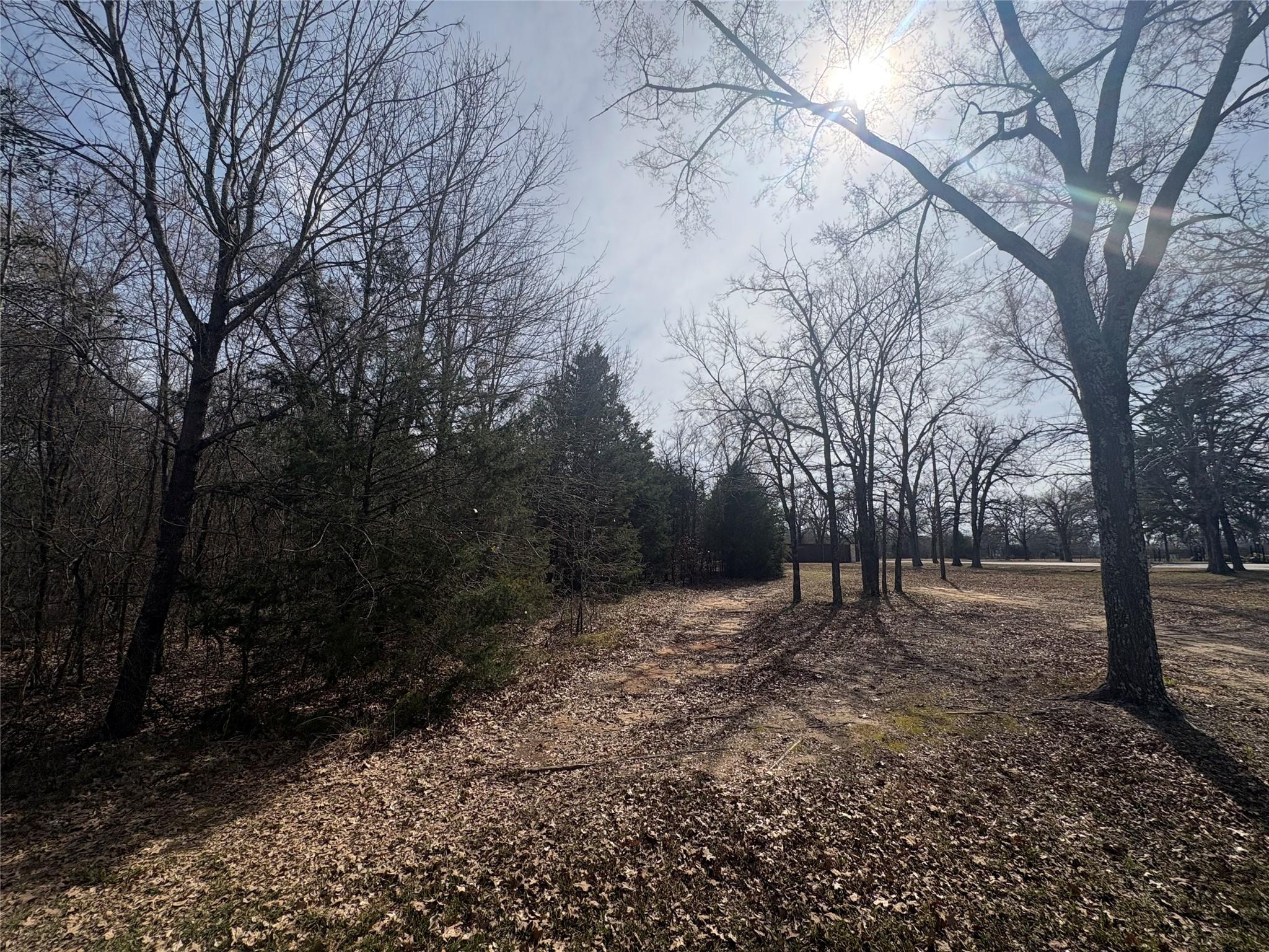 Image 4 Image 4