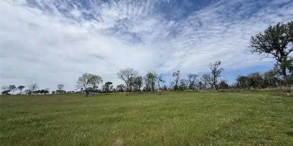 Image 4 Image 4