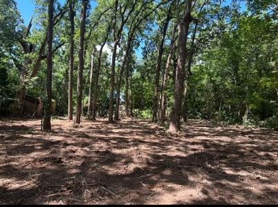 104 Red Bluff Loop