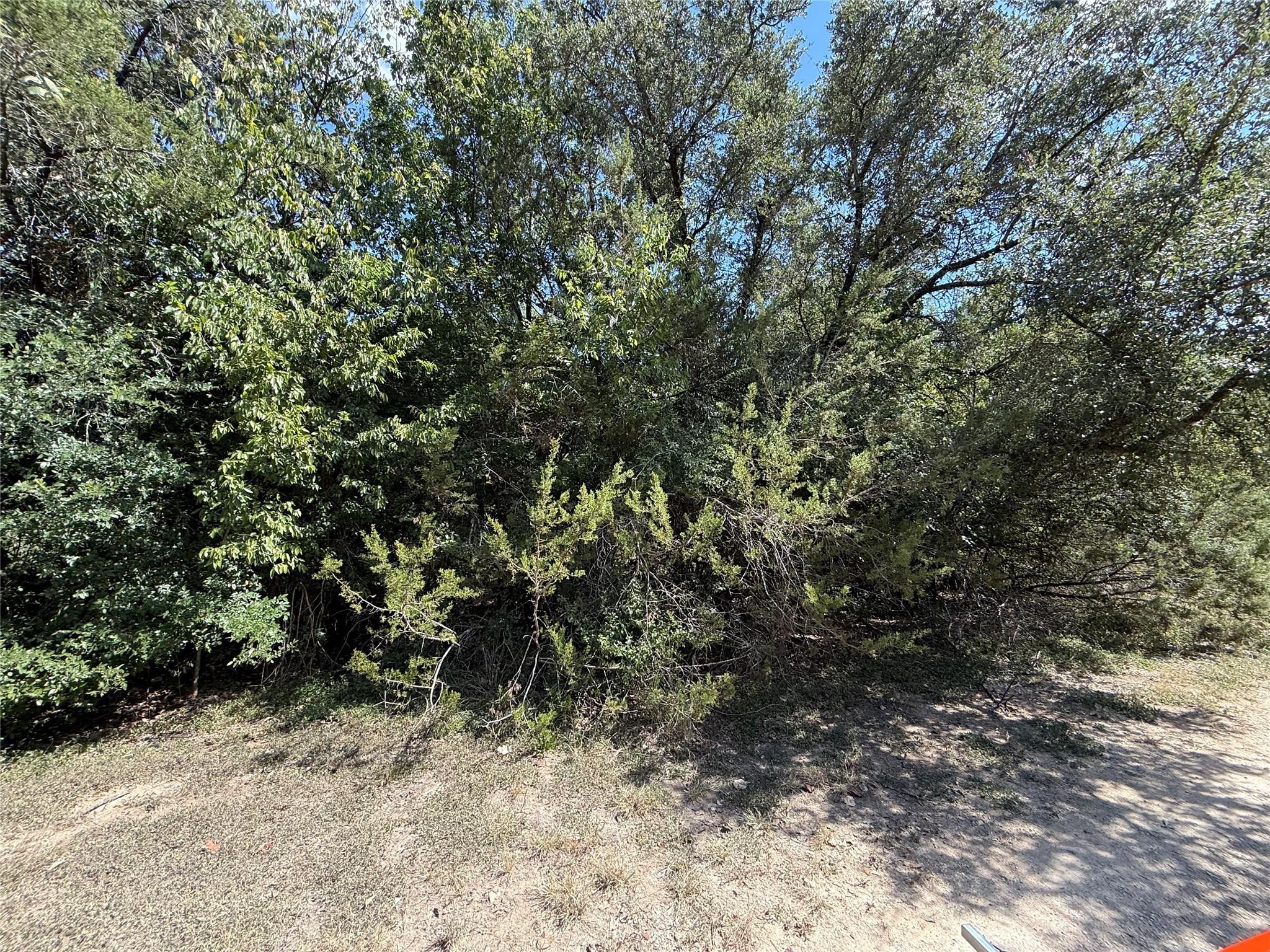Image 3 Image 3