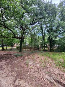 TBD Lot 774 Doe Run Road