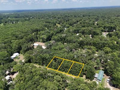 Lots 265-267 Knottypine