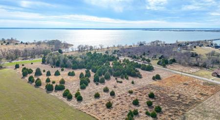 Lot 49 Baybridge