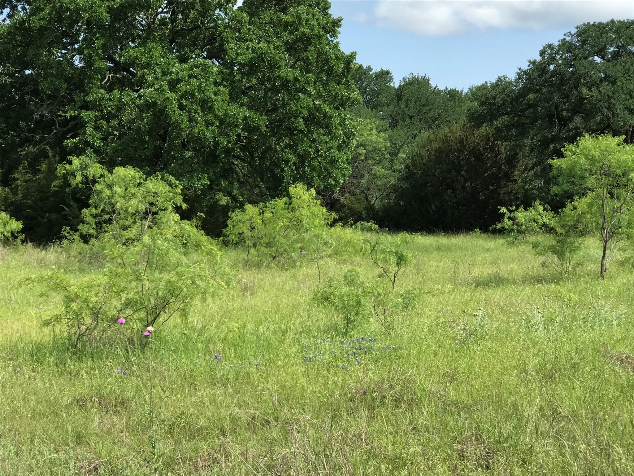 Image 4 Image 4