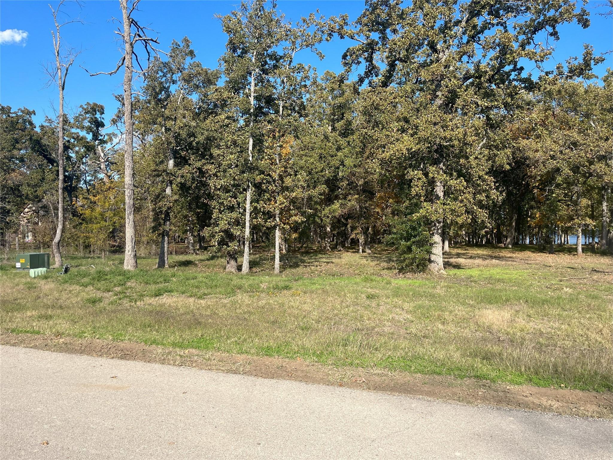 Image 3 Image 3