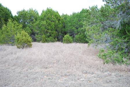 43111 Indian Blanket Drive