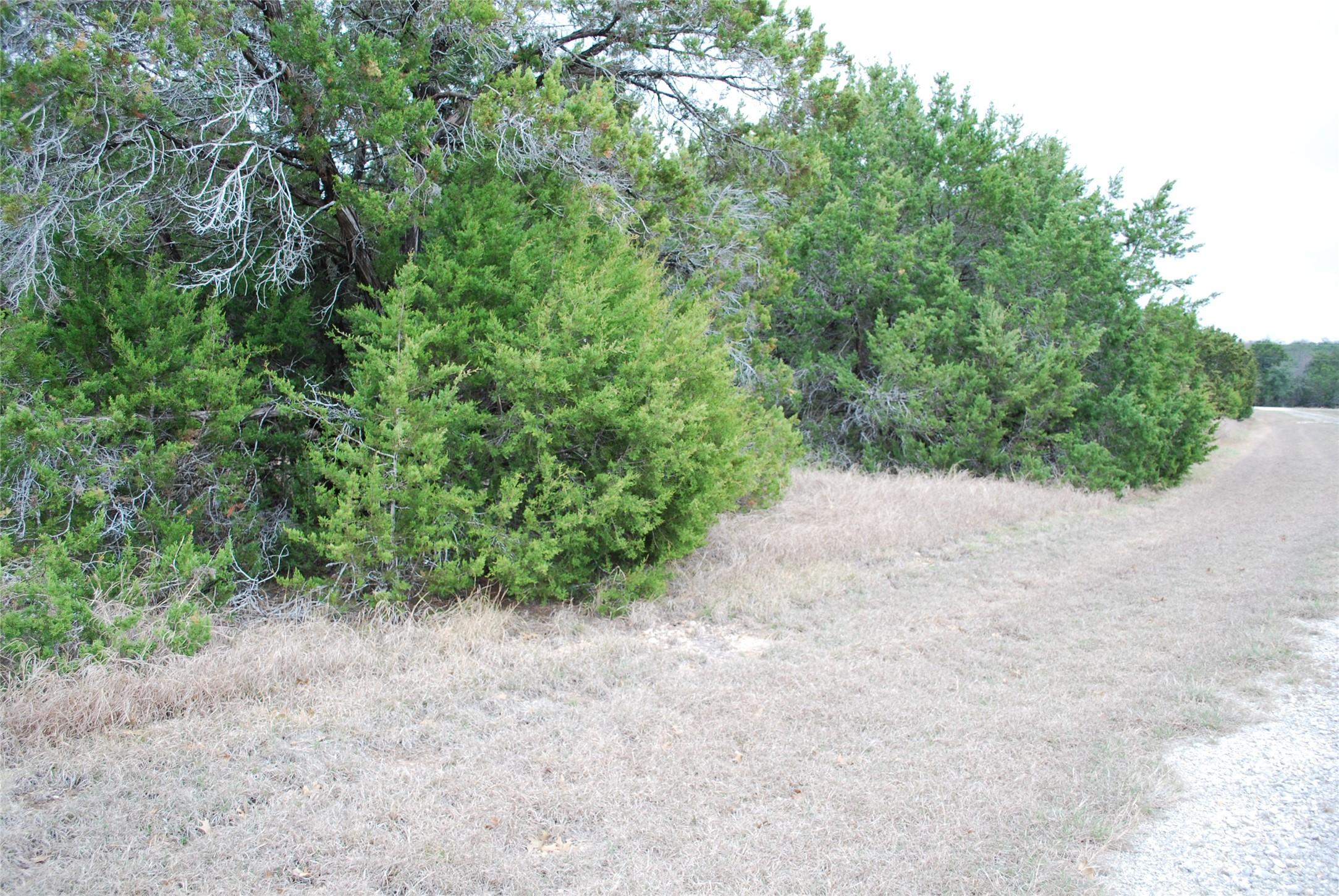 Image 2 Image 2