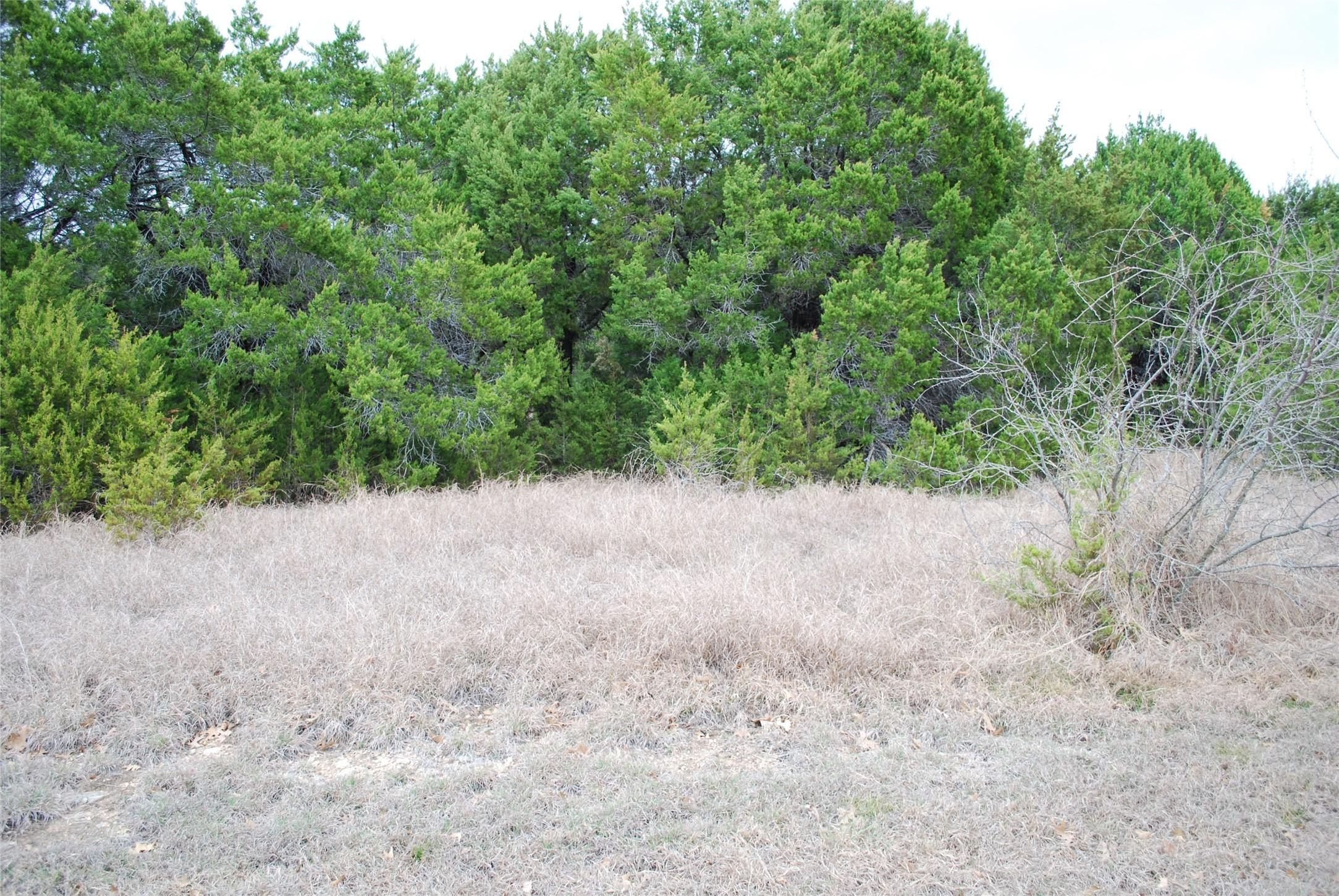 Image 3 Image 3