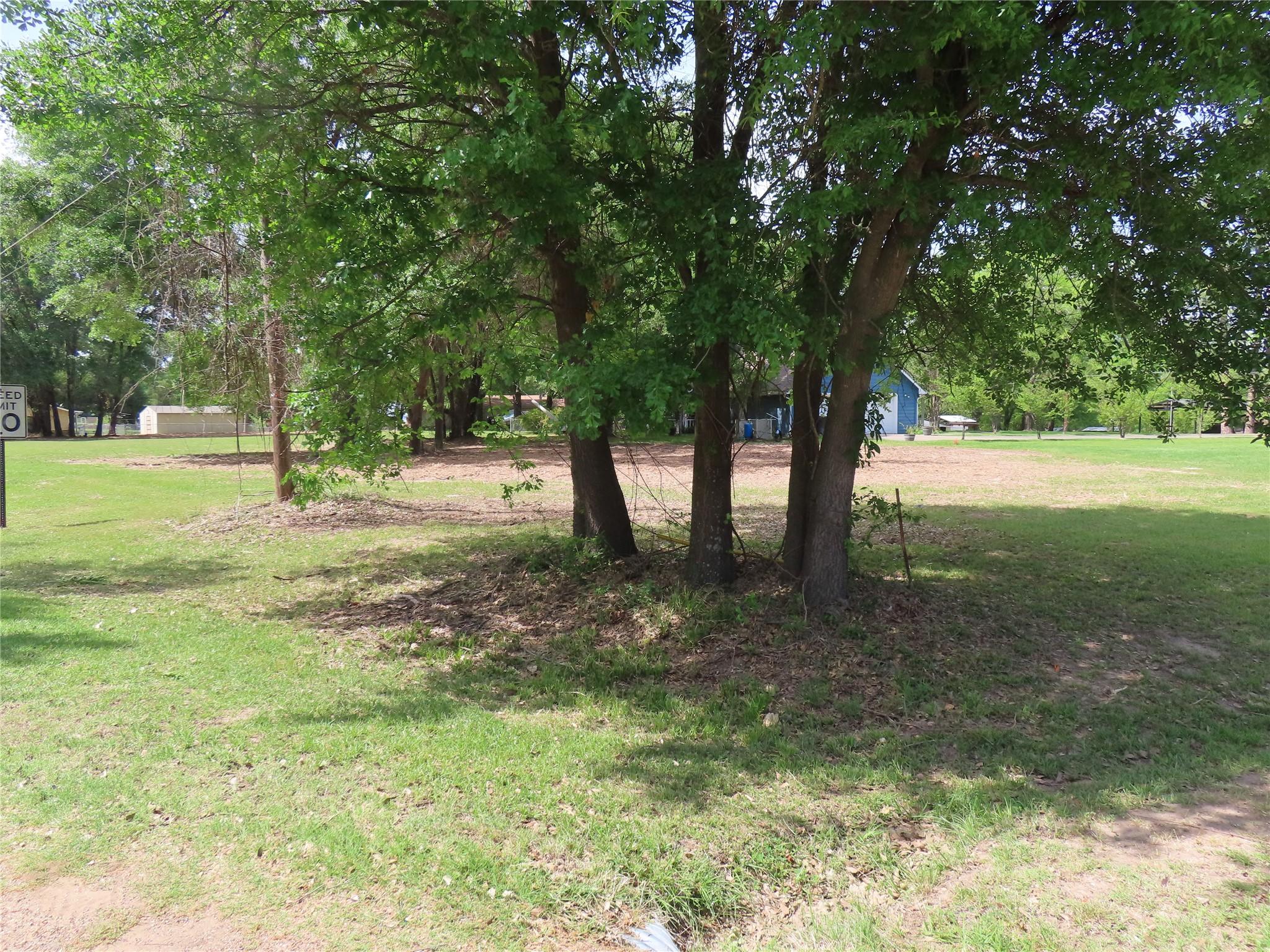 Image 4 Image 4