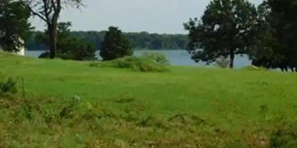 Image 3 Image 3