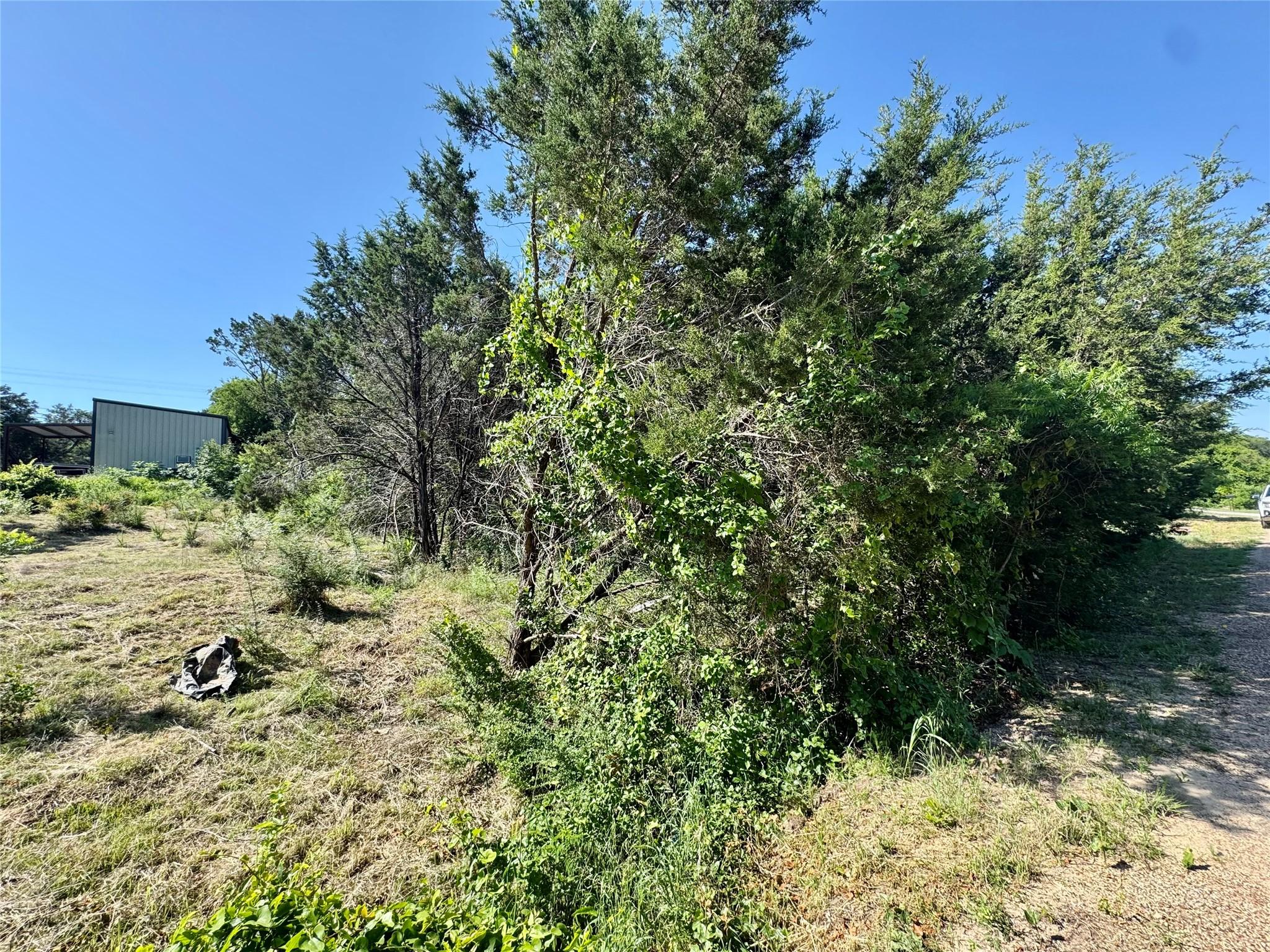 Image 4 Image 4