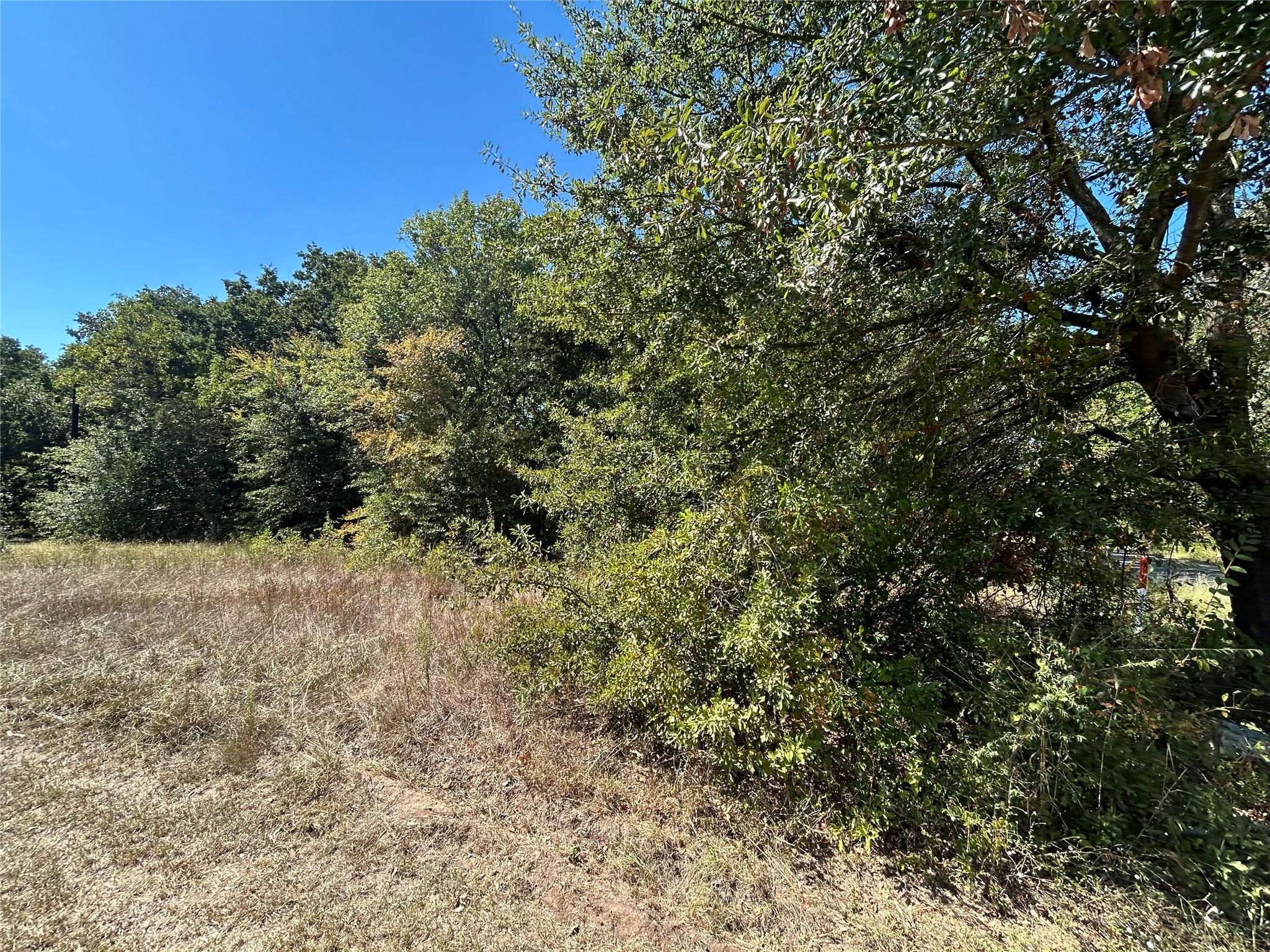 Image 4 Image 4