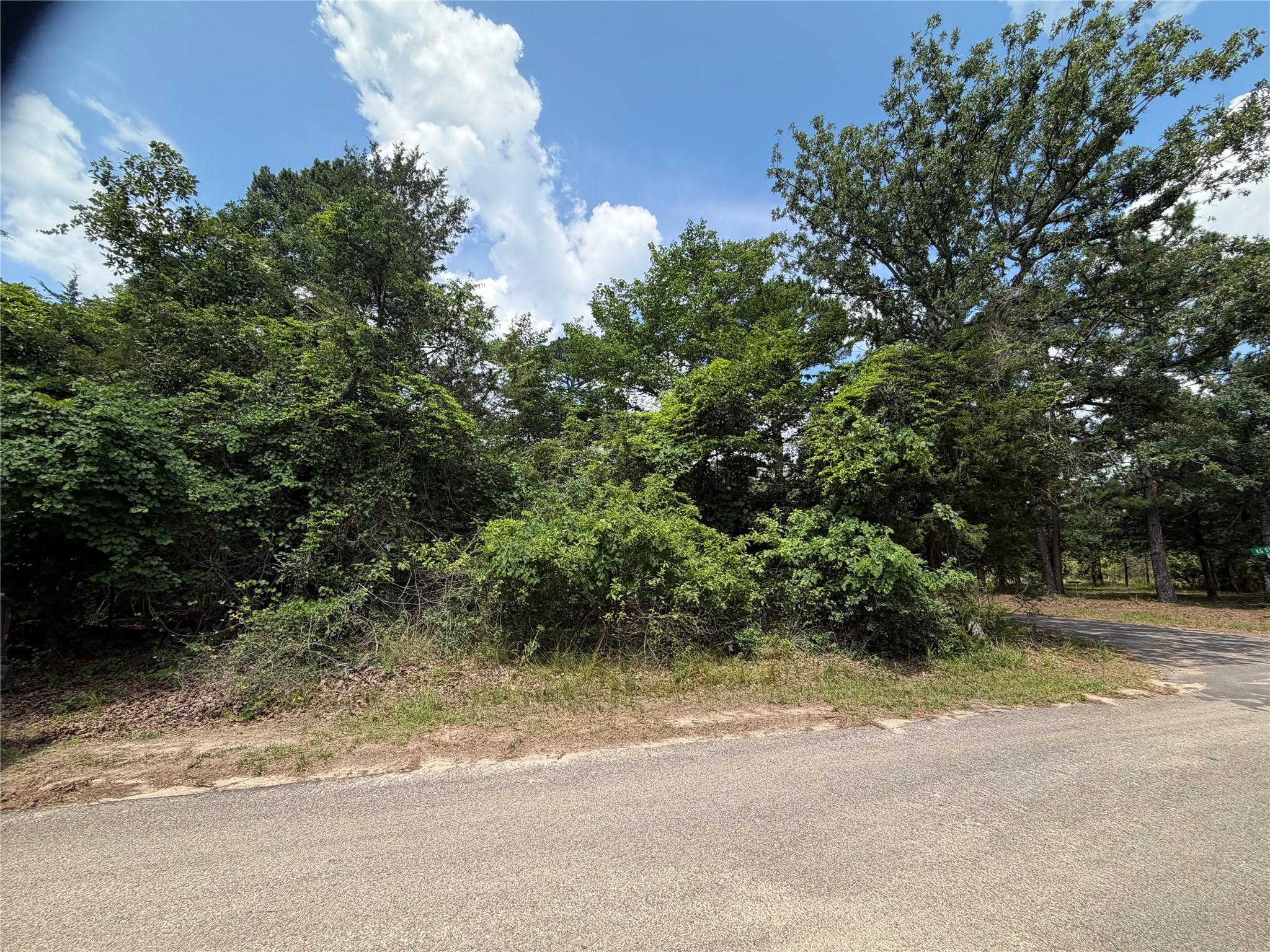 Image 1 Image 1