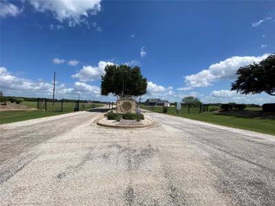 LT 300 COWBOY Drive