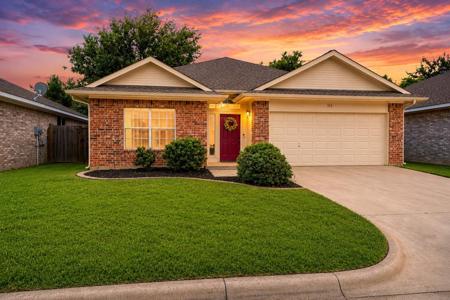 313 Texas Drive